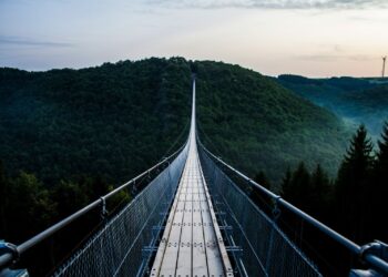 The Rush to AI Without a Clear Plan